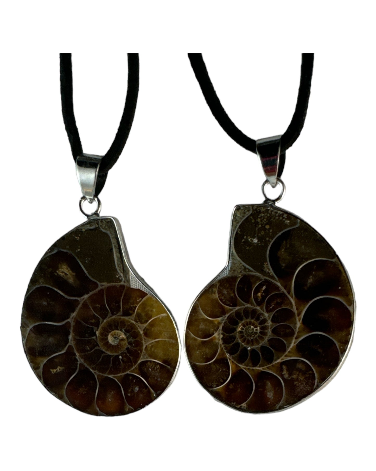 Ammonite Soulmate pendants (includes 2 pendants)