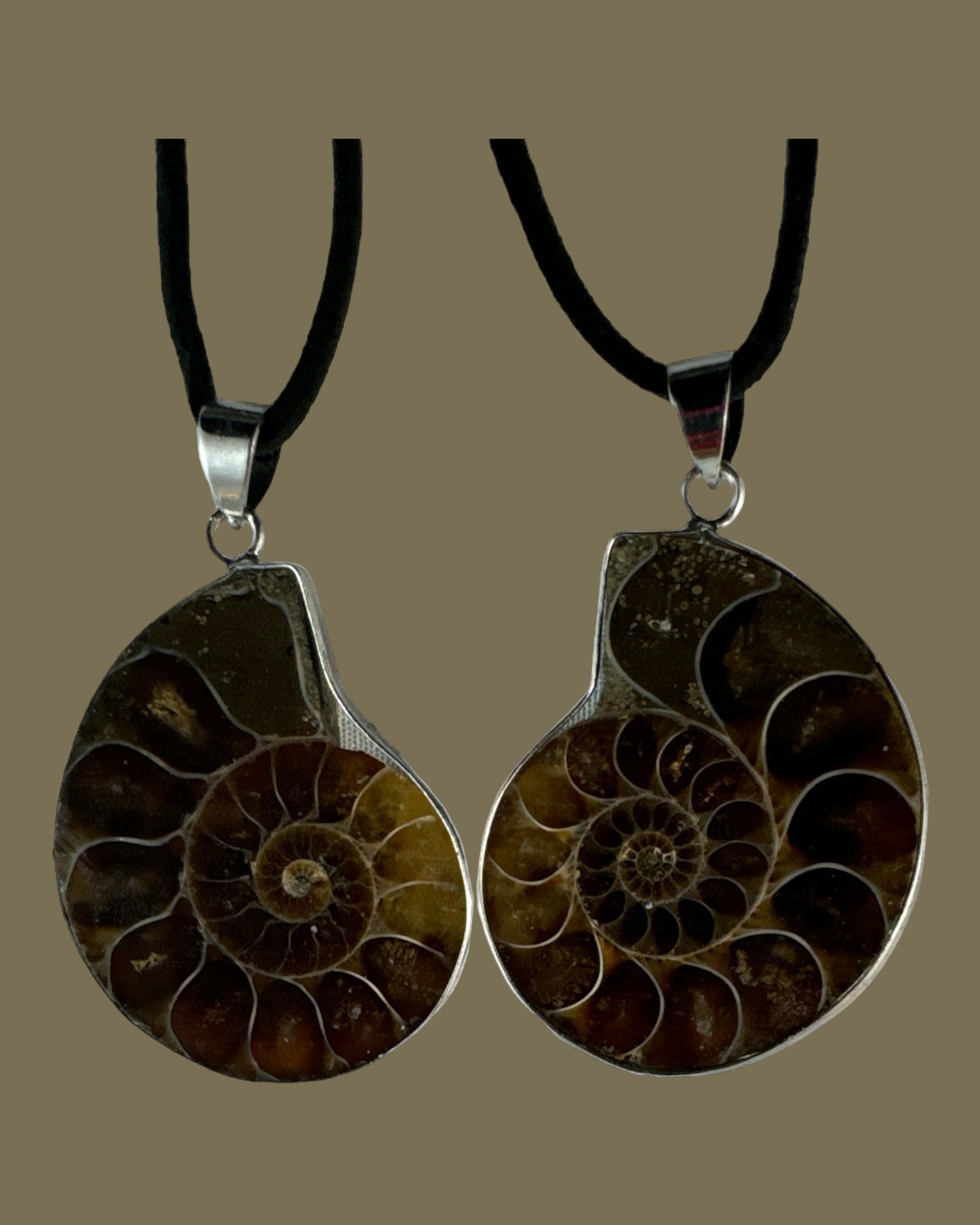 Ammonite Soulmate pendants (includes 2 pendants)