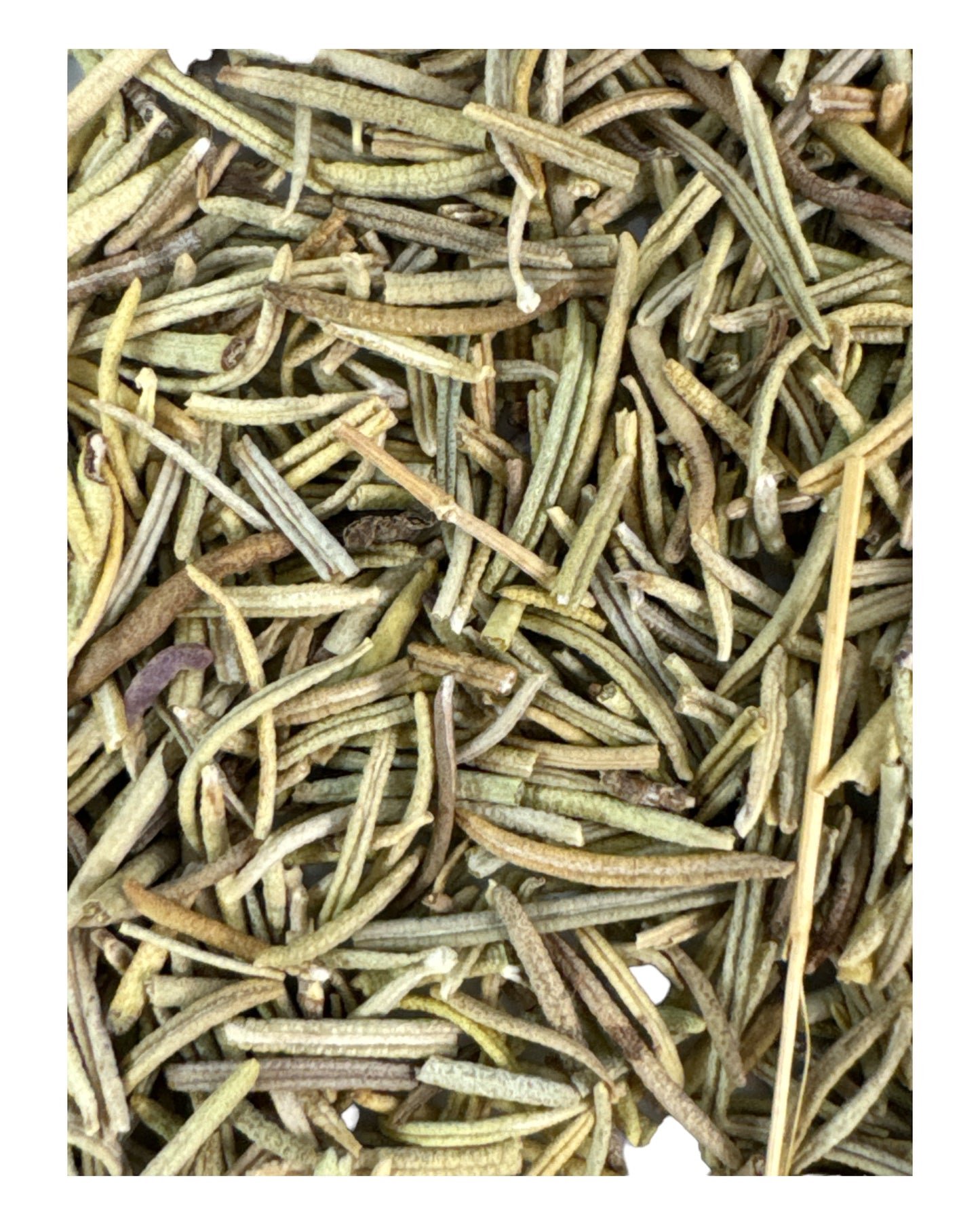ROSEMARY (Protection/ Prosperity/ Purification) 3g