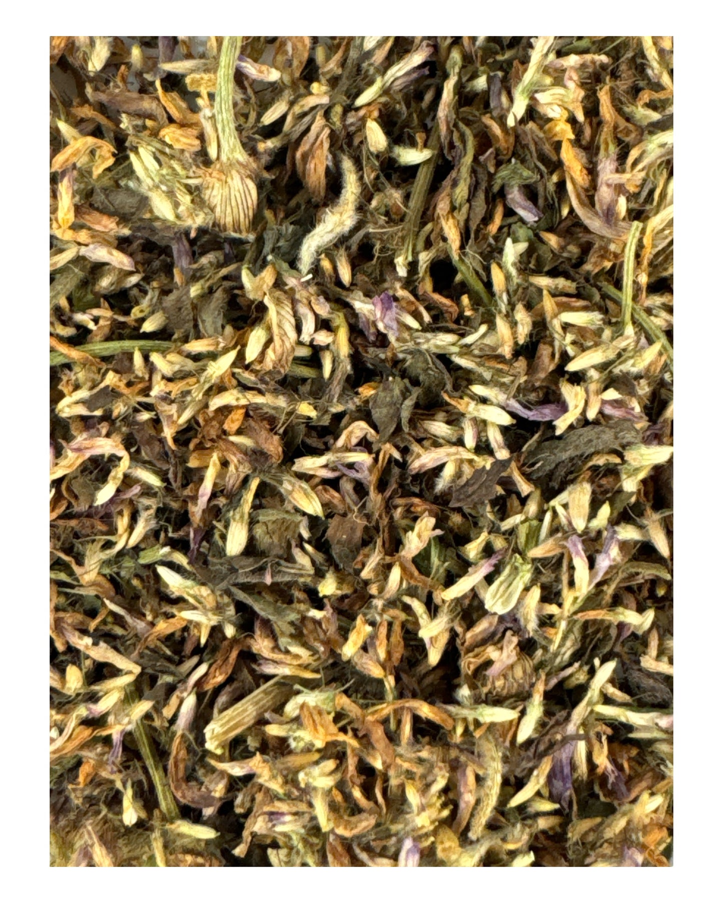 RED CLOVER  (Fidelity/ Good Luck/ Purification)   2g