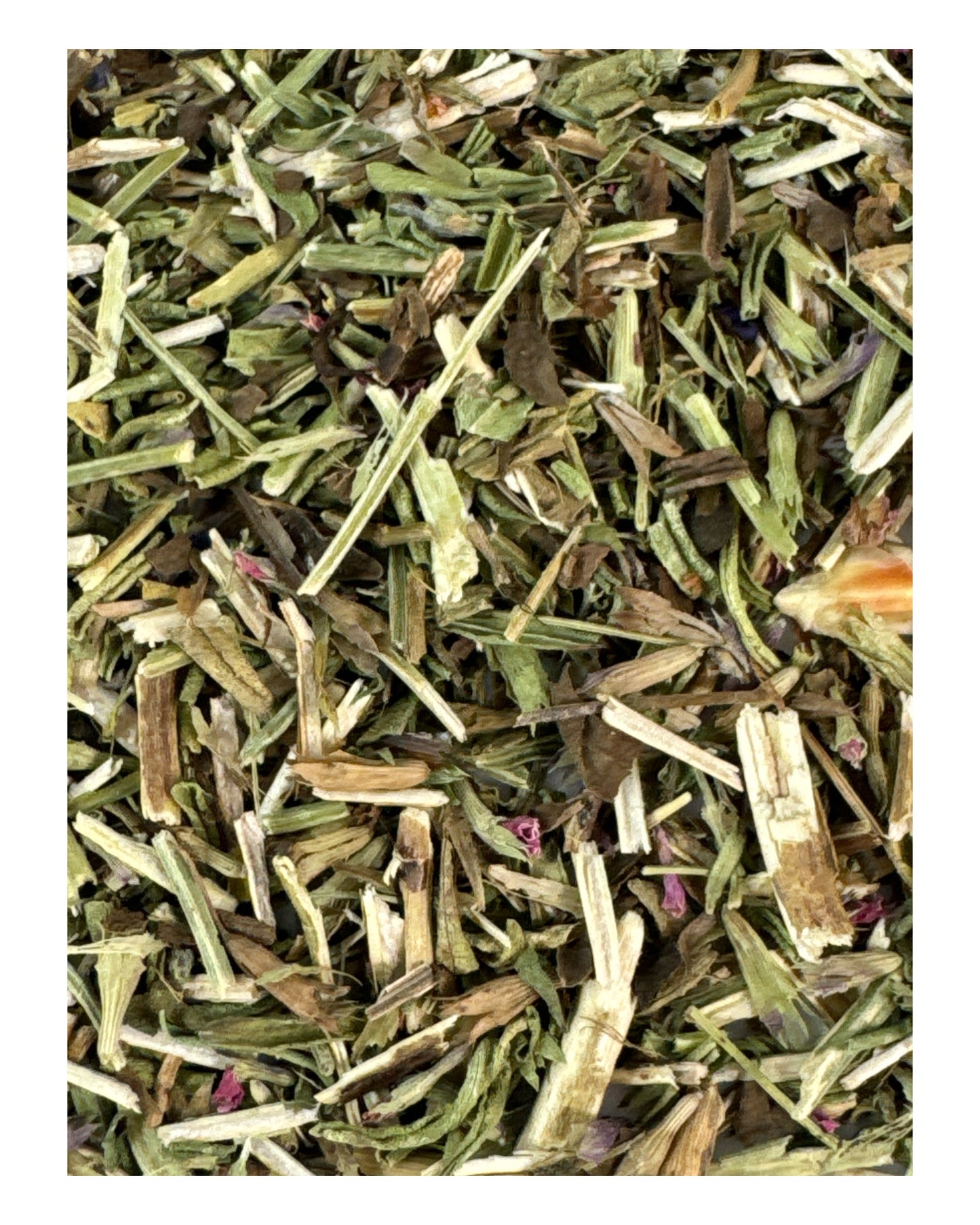 HYSSOP (Protection/ Purification) 2g