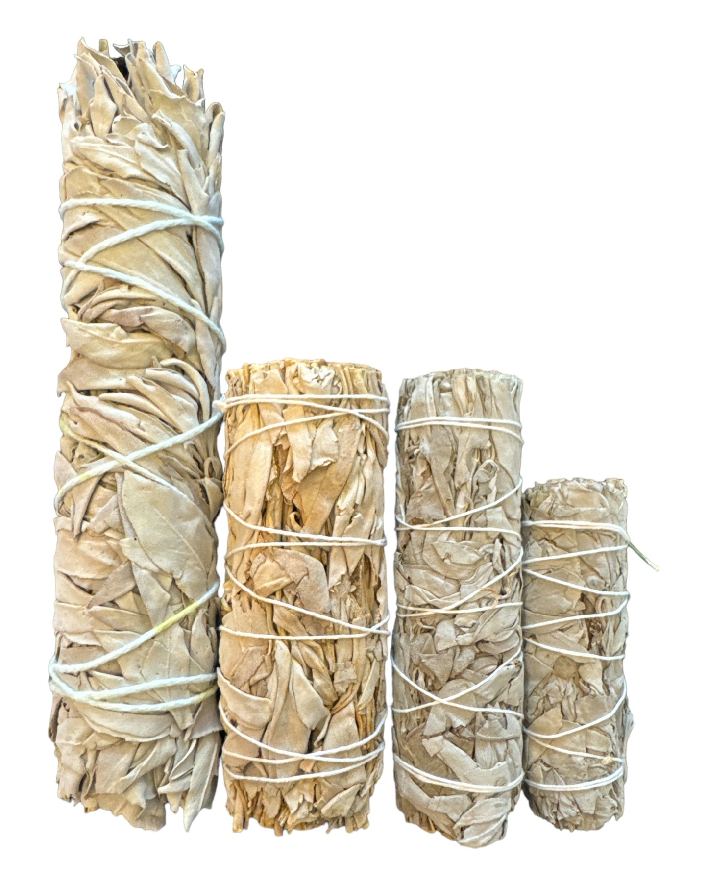 White Sage (medium)