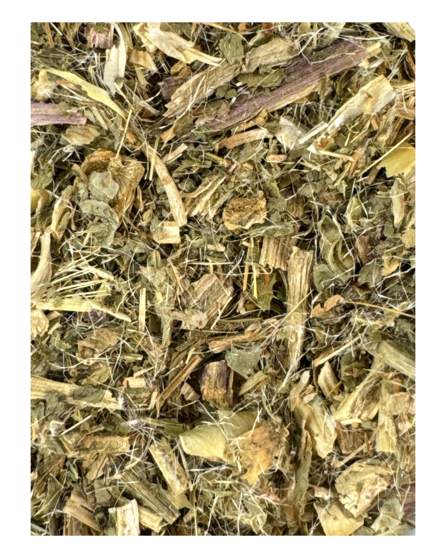BLESSED THISTLE   (Protection / Hex Breaking / Purification). 2g
